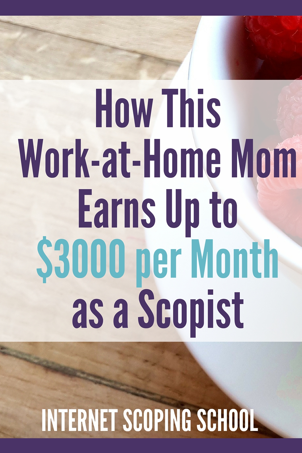 work from home scopist