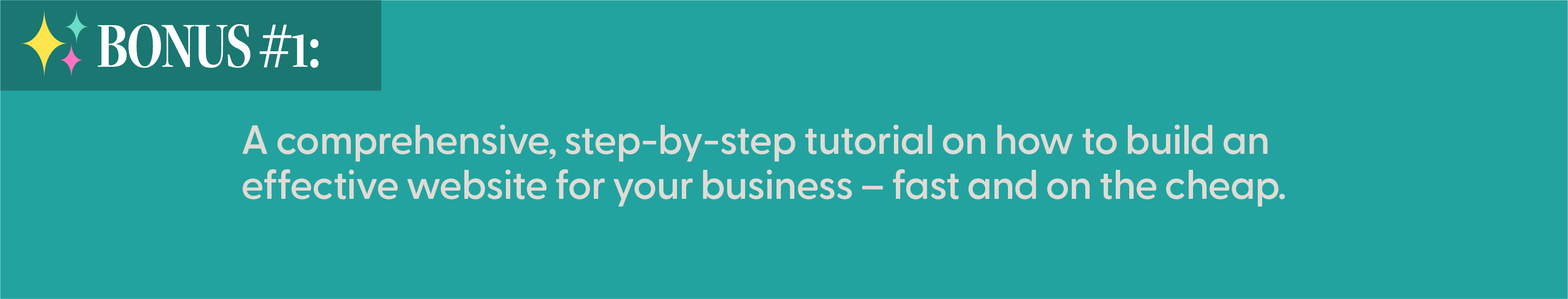 bonus 1 ScopeSchool Banner with “BONUS #1” and text: “A comprehensive, step-by-step tutorial on how to build an effective website for your business—fast and on the cheap.”.